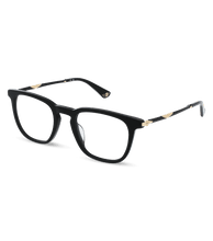 Load image into Gallery viewer, VPLL66 500700_02

