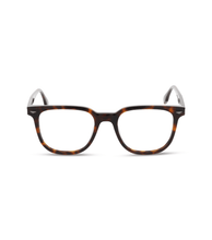 画像をギャラリービューアに読み込む, VPLR65 510706_01
